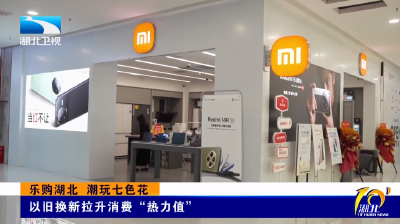乐购湖北 潮玩七色花 | 以旧换新拉升消费“热力值”