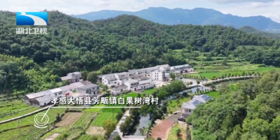铭记历史 缅怀先烈 | 铁血护青山 鱼水情更浓