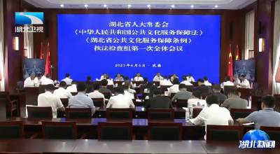 杨云彦强调 推动公共文化服务保障法律法规有效实施