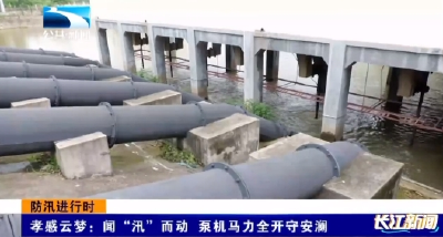 孝感云梦：闻“汛”而动 泵机马力全开守安澜