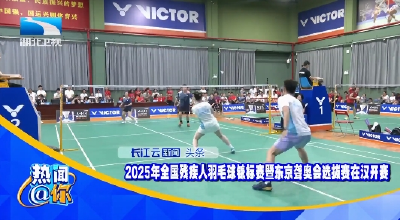 2025年全国残疾人羽毛球锦标赛暨东京聋奥会选拔赛在汉开赛