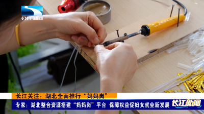 长江关注：湖北全面推行“妈妈岗”｜专家：湖北整合资源搭建“妈妈岗”平台 保障权益促妇女就业新发展