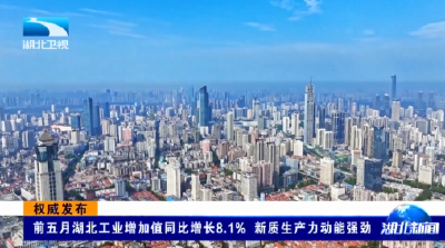 权威发布 | 前五月湖北工业增加值同比增长8.1% 新质生产力动能强劲