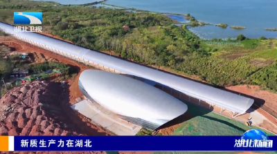 新质生产力在湖北 | 650公里每小时 湖北高速磁悬浮技术达世界领先水平