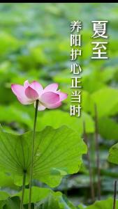 夏至：日影至短，阳极生阴，养阳护心正当时！