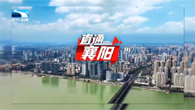 ​直通襄阳 | 南漳：可弹性工作 可居家办公 “宝妈”就业之路越走越宽