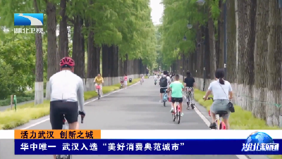 活力武汉 创新之城丨华中唯一  武汉入选“美好消费典范城市”