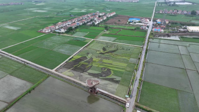 襄阳宜城：稻田艺术画焕新颜 农旅融合再升级