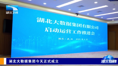 湖北大数据集团今天正式成立