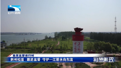 基层监督进行时丨荆州松滋：跟进监督 守护一江碧水向东流