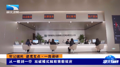 牢记嘱托 建成支点·一线调研丨从一楼到一带 “双碳”模式释放乘数效应