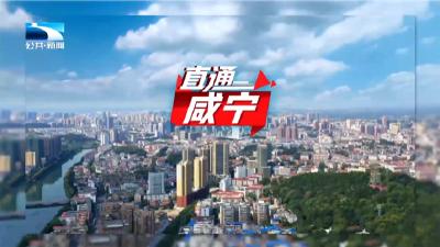 直通咸宁 | 咸宁：积极推动供应链体系建设成势见效