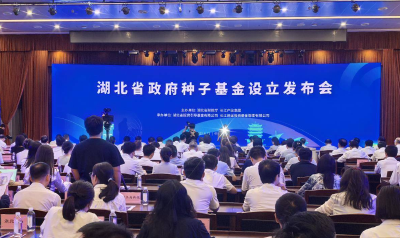 湖北：重构政府引导基金体系 打造种子基金群 赋能“从0到1”阶段创新创业