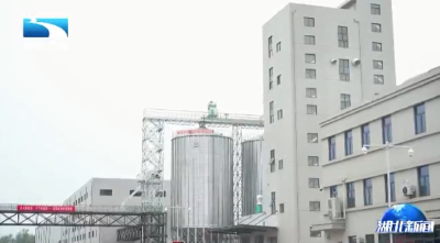 22万吨“智慧粮仓”在汉投用 绿色储粮技术全国领先