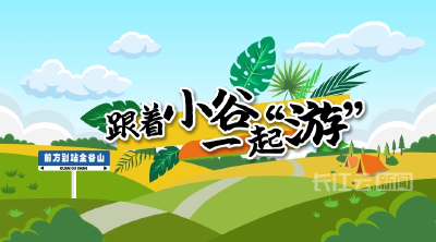 原来你是这样的全谷物