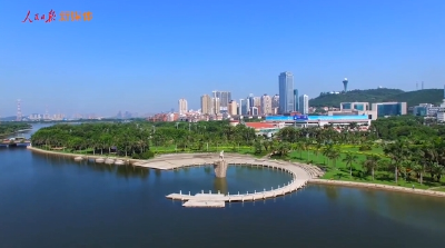 参天之木有其根——习近平同志在福建金融实践探索的三个故事