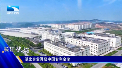湖北企业再获中国专利金奖