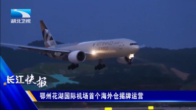 鄂州花湖国际机场首个海外仓揭牌运营