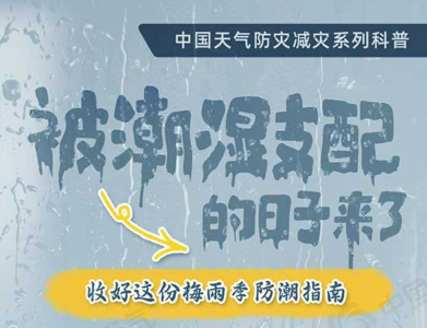 梅雨季全面开启！收好这份防潮指南→