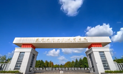 武汉软件工程职业学院信息学院软件技术专业·《产教共舞智造未来：软件技术专业筑梦数字时代》