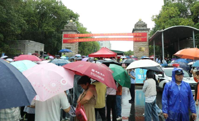 2025年高考首日：雨中逐梦 3735名红安学子书写青春答卷