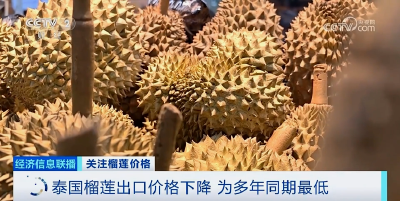 降！降！降！榴莲多年来最低价的背后是这些原因→