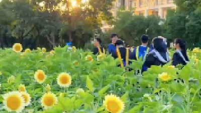 12900㎡花海、“巨无霸”蛋糕……高校毕业季仪式感已拉满→