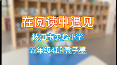 宜昌市-枝江市实验小学-《在阅读中遇见》-袁子墨