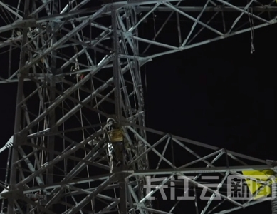 月光“晒背”夜灯“扑”面 电网人员凌晨爬50米高空拆塔线 下方20股高铁轨道无影响