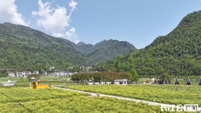 美院才子执画笔 点“靓”恩施网红村