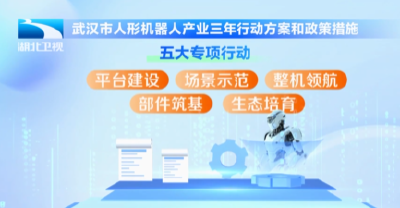 支持人形机器人研发 武汉最高补助6000万元！