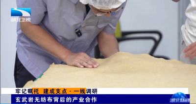 牢记嘱托 建成支点·一线调研 | 玄武岩无纺布背后的产业合作