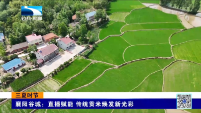 襄阳谷城：直播赋能 传统贡米焕发新光彩