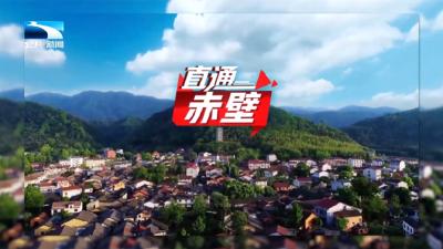 直通赤壁 | 打造国家级低空经济试验区