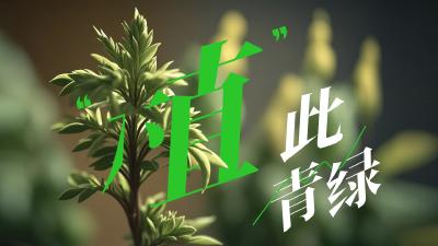 美丽中国我先行｜“植”此青绿