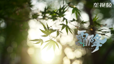 温一壶老酒  补一回霜降
