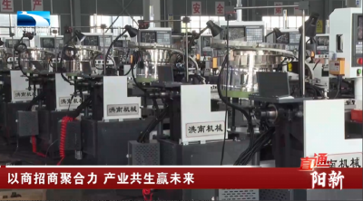黄石阳新：以商招商聚合力 产业共生赢未来