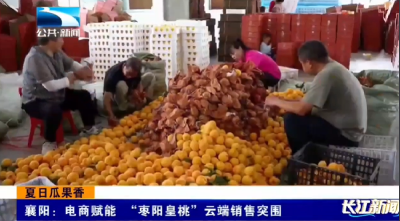 襄阳：电商赋能  “枣阳皇桃”云端销售突围