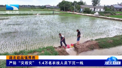 湖北迎战强降雨 | 严防“灾后灾” 1.4万名农技人员下沉一线