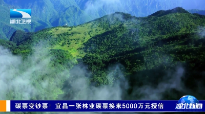 碳票变钞票！宜昌一张林业碳票换来5000万元授信