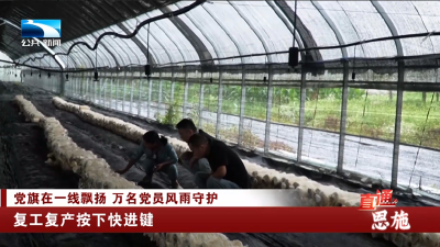 恩施：复工复产按下快进键