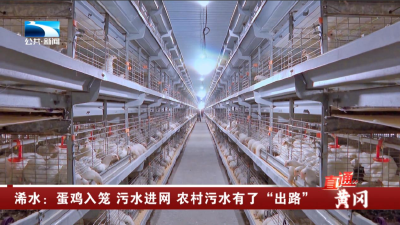 黄冈浠水：蛋鸡入笼 污水进网 农村污水有了“出路”
