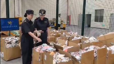 “人红是非多”？海关查获8280个“LABUBU”都是山寨货
