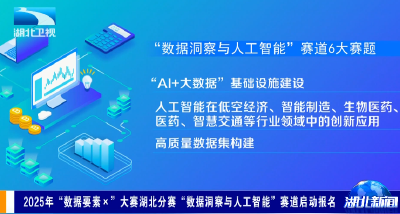 2025年“数据要素×”大赛湖北分赛“数据洞察与人工智能”赛道启动报名
