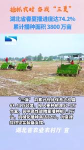 湖北已播粮食作物3800万亩 进度超七成