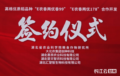 湖北这份千万身价水稻母本两后代新品种获签约
