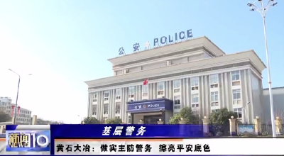 黄石大冶：做实主防警务 擦亮平安底色