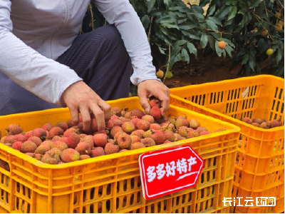拼多多“千亿扶持”助力“好特产”加速涌现