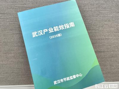150个行业的新“绿色标尺”来了！《武汉产业能效指南（2025版）》发布