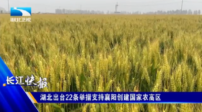 湖北出台22条举措支持襄阳创建国家农高区